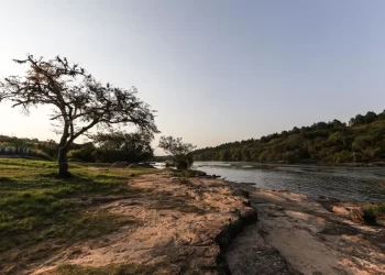 O jeito zen e a arte de fabricar canoas