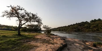 O jeito zen e a arte de fabricar canoas