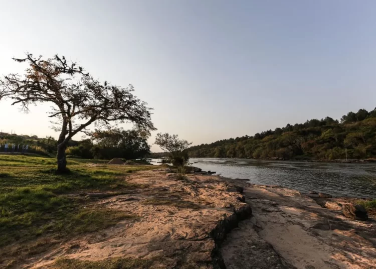 O jeito zen e a arte de fabricar canoas