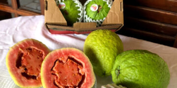 Goiaba já preparada para a venda