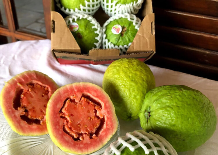 Goiaba já preparada para a venda